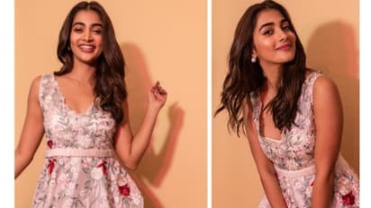 పూజా వెంటే స్టార్‌ హీరోలు.. దిమ్మతిరిగేలా బుట్టబొమ్మ నెక్ట్స్ సినిమాల లైనప్‌.. వారికి జెలసీ పుట్టిస్తుందిగా?