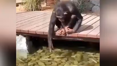 ഈ വീഡിയോ ഉറപ്പായും നിങ്ങളുടെ കുഞ്ഞുങ്ങളെ കാണിക്കണേ...