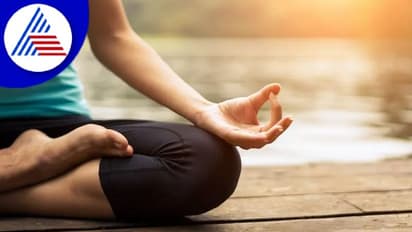 Yoga Day 2022: అసలు మనం యోగా ఎందుకు చేయాలి? దీనివల్ల మనకొచ్చే లాభం ఏంటి..?