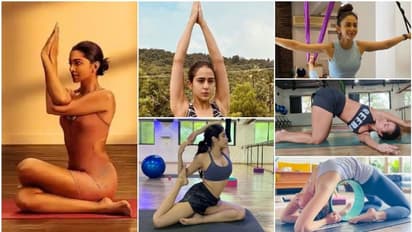 యోగా పోజులతో పిచ్చెక్కిస్తున్న రకుల్‌, జాన్వీ, దీపికా, మలైకా.. హాట్‌ భంగిమలతో రచ్చ చేసిన్న ముద్దుగుమ్మలు..