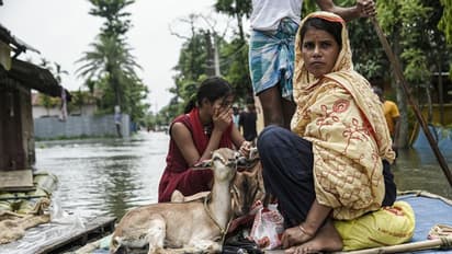 Assam Floods; ಆಸ್ಸಾಂನ ಭೀಕರ ಪ್ರವಾಹಕ್ಕೆ ಬಲಿಯಾದವರ ಸಂಖ್ಯೆ 82ಕ್ಕೇರಿಕೆ