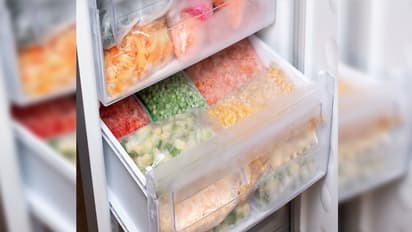 உணவு வீணாவதைத் தவிர்க்க பிரிட்ஜை முழுசா பயன்படுத்தணும்! இந்த டிப்ஸ் ட்ரை பண்ணுங்க!