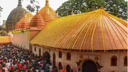 'কীসের বার কীসের তিথি, আষাঢ়ের ৭ তারিখ অম্বুবাচী', জেনে নিন প্রাচীণ এই উৎসবের আসল রহস্য