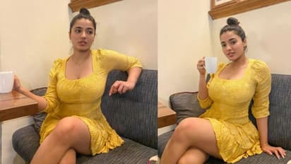 కేఫ్‌లో రెచ్చిపోయిన బోల్డ్ బ్యూటీ .. క్లీవేజ్‌ అందాలు, థైస్‌ షోతో పిచ్చెక్కిస్తున్న `రొమాంటిక్‌` భామ..