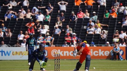 NED vs ENG : വില്ലിക്ക് നാല് വിക്കറ്റ്, രക്ഷകനായി എഡ്വേഡ്സ്; ഇംഗ്ലണ്ടിന് 245 റണ്സ് വിജയലക്ഷ്യം