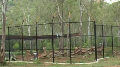 Padmaja Naidu Himalayan Zoological Park in Darjeeling named as best zoo in India