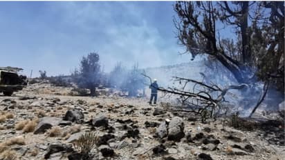 ഒമാനിൽ ഇബ്രി വിലായത്തില് തീപിടുത്തം; ആളപായമില്ലെന്ന് സിവില് ഡിഫന്സ്