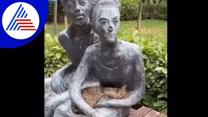 ಕಲ್ಲಿನ ಪ್ರತಿಮೆಯ ಮಡಿಲಲ್ಲಿ ಮಲಗಿ ಆಟವಾಡ್ತಿರುವ ಮಾರ್ಜಾಲ : ವಿಡಿಯೋ ವೈರಲ್