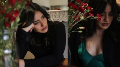 పువ్వుల చాటున  నేహా శర్మ అందాల విందు.. గ్లామర్ తో మతిపోగొడుతున్న యంగ్ బ్యూటీ..