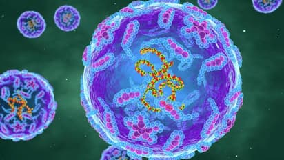 Polio Virus : ലണ്ടനില് പോളിയോ വൈറസ് സാന്നിധ്യം സ്ഥിരീകരിച്ചു; അതീവ ജാഗ്രതവേണമെന്ന് ലോകാരോഗ്യ സംഘടന