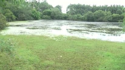 ಕೊಲೆ ಕೇಸಿಗಾಗಿ ಕೆರೆ ನೀರು ಖಾಲಿ: ತಾವೇ ಹೂತಿದ್ದ ಶವ ತೆಗೆಯಲು ಪೊಲೀಸ್‌ ಕಸರತ್ತು