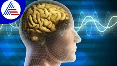 ಜ್ಞಾಪಕ ಶಕ್ತಿ ಹೆಚ್ಚಿಸಲು ಈ ಆಟಗಳನ್ನ ಆಡಿದ್ರೆ ಸಾಕು 