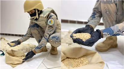 സൗദി അറേബ്യയിലേക്ക് വന്തോതില് ലഹരിമരുന്ന് കടത്താന് ശ്രമം; പ്രതികള് പിടിയില്