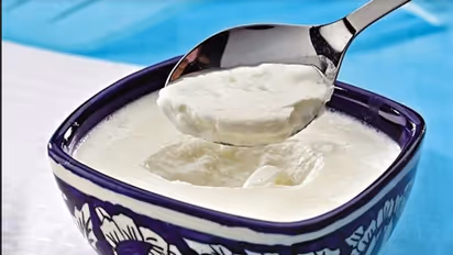 Foods For Burn Belly Fat  :  ശരീരത്തിലെ അധിക കൊഴുപ്പ് നീക്കം ചെയ്യാൻ സഹായിക്കുന്ന 10 ഭക്ഷണങ്ങൾ