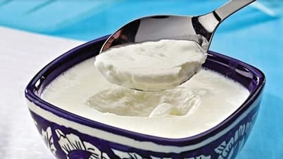 Curd: எலும்புகளை பலப்படுத்த தயிரை எப்படி எடுத்துக் கொள்ள வேண்டும்?