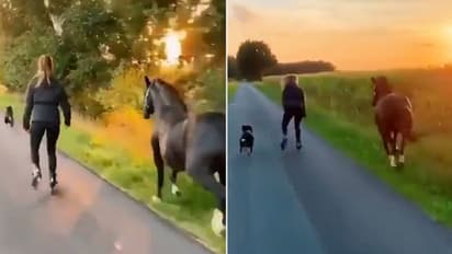 Watch: Woman skates along with pet dog and horse; Internet loves it