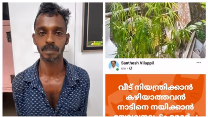 മരുമകന് വീട്ടിൽ കഞ്ചാവ് കൃഷി നടത്തി; തിരുവനന്തപുരത്ത് ബിജെപി ജില്ലാ നേതാവ് സ്ഥാനം രാജിവെച്ചു