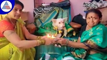 ಗುಳೇದಗುಡ್ಡ: ಸಾಕು ನಾಯಿಗೆ ಸೀಮಂತ ಮಾಡಿ ಸಂಭ್ರಮಿಸಿದ ಜ್ಯೋತಿ ಕುಟುಂಬ..!