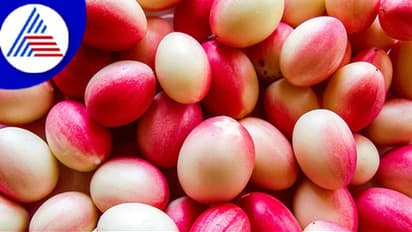 ಕರಂಡೆ ಹಣ್ಣು ತಿಂದ್ರೆ ರಕ್ತಹೀನತೆಯ ಸಮಸ್ಯೆ ಇರಲ್ಲ