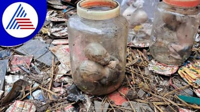 Belagavi; ಮೂಡಲಗಿ ಬಳಿ ಹಳ್ಳದಲ್ಲಿ 7 ಭ್ರೂಣಲಿಂಗ ಪತ್ತೆ!