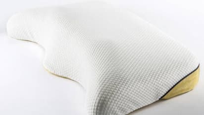 ഒരു തലയണയുടെ വില 45 ലക്ഷം രൂപ, അകത്ത് സ്വർണ്ണവും വജ്രവും!