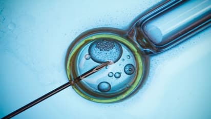 వార్నీ.. ఇదో నయాదందా.. డబ్బులకోసం అండాలను అమ్ముకుని.. భర్త అడిగితే..