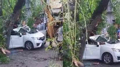 சென்னையில் கார் மீது மரம் விழுந்து வங்கி மேலாளர் பலி.. மழை நீர் வடிகாலுக்காக தோண்டப்பட்ட பள்ளம் தான் காரணமா..?