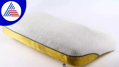 ಅಬ್ಬಬ್ಬಾ..ದಿಂಬಿನ ಬೆಲೆ ಭರ್ತಿ 45 ಲಕ್ಷ ರೂ; ವಿಶ್ವದ ದುಬಾರಿ ಪಿಲ್ಲೋದಲ್ಲಿ ಅಂಥದ್ದೇನಿದೆ ?