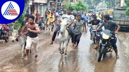 ಬಾಗಲಕೋಟೆಯಲ್ಲಿ ಕತ್ತೆಗಳ ಓಟದ ಸ್ಪರ್ಧೆ: ಡಾಂಕಿ ಓಟಕ್ಕೆ ಹುಚ್ಚೆದ್ದು ಕುಣಿದ ಯುವ ಜನತೆ..!