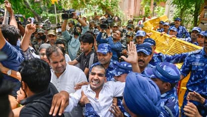 19 SFI activists held in Rahul Gandhi office vandalism case in Wayanad, Kerala