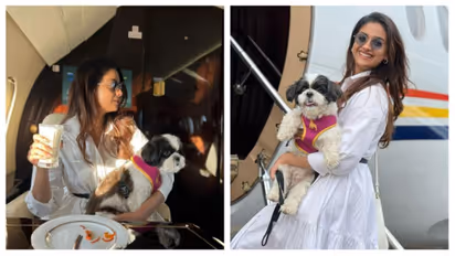 செல்ல பிராணியை பிளைட்டில் அழைத்து சென்ற கீர்த்தி சுரேஷ்..முதல் அனுபவம் குறித்த நெகிழ்ச்சி பதிவு!