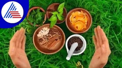 ಆಯುರ್ವೇದಕ್ಕೆ ಸಂಬಂಧಿಸಿದ ಎಲ್ಲಾ ವಿಷಯಗಳು ನಿಜವಲ್ಲ !