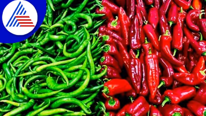 மிளகாய் பொடியில் கலப்படம் இருக்குதா? கேன்சர் வரவைக்கும் போலிகளை ஈஸியா கண்டுப்படிப்பது எப்படி? டிப்ஸ் இதோ