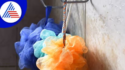 ಸ್ನಾನ ಮಾಡುವಾಗ ಮೈ ಉಜ್ಜಲು ಬ್ರಶ್ ಬಳಸ್ತೀರಾ ? ಇಷ್ಟೆಲ್ಲಾ ತೊಂದ್ರೆಯಾಗುತ್ತೆ ನೋಡಿ