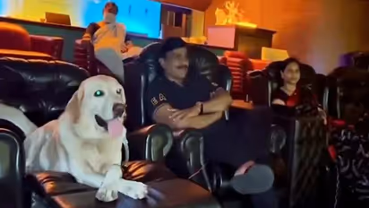 777 Charlie: BJP minister Gali Janardhana Reddy watched Rakshit Shetty's film with his dog, Rocky (Video)