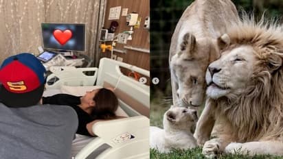 'ঘরে আসছে সন্তান', ঘোষণা আলিয়া ভাটের, সঙ্গে সিংহ-র সংসারের ছবি দিয়ে কি বোঝাতে চাইলেন রালিয়া