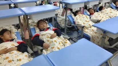 ഇരുന്നുറങ്ങണ്ട, സ്കൂളുകളിൽ കുട്ടികൾക്ക് ഉച്ചക്കുറങ്ങാൻ കഴിയും വിധത്തിലുള്ള കസേരകൾ