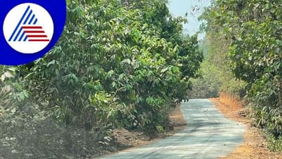 ಪತ್ರಕರ್ತರು ಗ್ರಾಮವಾಸ್ತವ್ಯ ಮಾಡಿದ ಊರಿಗೆ ರಸ್ತೆ ಭಾಗ್ಯ!