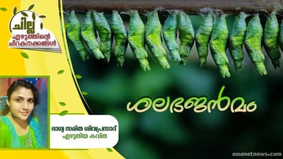 Malayalam Poem: ശലഭജന്മം, ഭാഗ്യ സരിത ശിവപ്രസാദ് എഴുതിയ കവിത