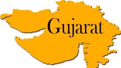 Gujarat Based Stocks: భారీ పతనంలో భారీ లాభాలు అందించిన గుజరాత్ బేస్డ్ కంపెనీ షేర్లు ఇవే...మీరు ఓ లుక్కేయండి..