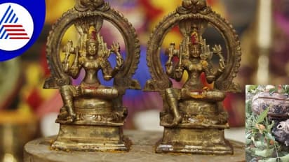 ದೇವರಿಗಾಗಿ ದೇವರಿಂದಲೇ ಹುಡುಕಾಟ! ಹುತ್ತದಲ್ಲಿ ಸಿಕ್ತು ಪುರಾತನ ವಿಗ್ರಹ!