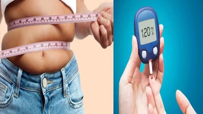 मोटापा-डायबिटीज को एक साथ खत्म कर देंगे ये 6 फल, नए शोध में हुआ खुलासा