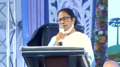 মমতার বাড়ি নাকি কলকাতা পুলিশের হেডকোয়ার্টার , জেরায় বলল হাফিজুল