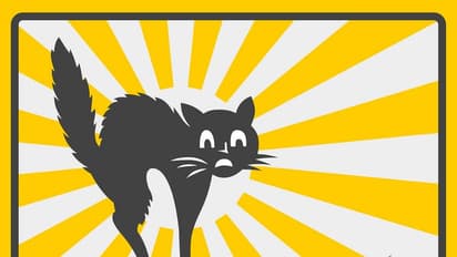 എലികളുടെ വിളയാട്ടം, കര്ണാടക പൊലീസ് സ്റ്റേഷനില് 'പൂച്ചപ്പൊലീസ്' ഇറങ്ങി!