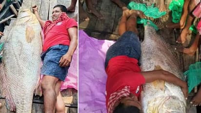 Lucky Fish: ఒక్క చేప జీవితాన్నే మార్చేసింది, పశ్చిమ బెంగాల్ లో అద్భుతం, 13 లక్షలు పలికిన చేప..