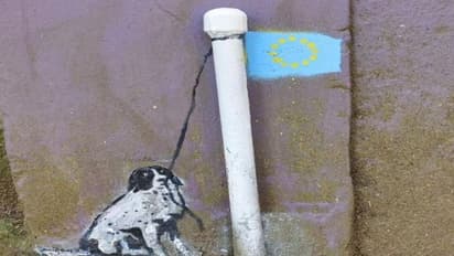 बच्चों को सड़क पार कराने वाला ये है सेलिब्रिटी स्ट्रीट डॉग, इंस्टाग्राम पर हैं हजारों फॉलोअर्स 