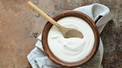 Curd For Weight loss :  തെെര് ശരീരഭാരം കുറയ്ക്കാൻ സഹായിക്കുമോ?