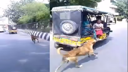   आगरा में कुत्ते ने पेश की प्यार की मिसाल, खाना देने वाले परिवार के लिए किया कुछ ऐसा