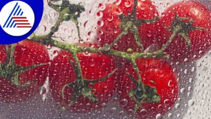 ಮಳೆಗಾಲದಲ್ಲಿ ಅಪ್ಪಿತಪ್ಪಿಯೂ ಈ ತರಕಾರಿ ತಿನ್ಬೇಡಿ