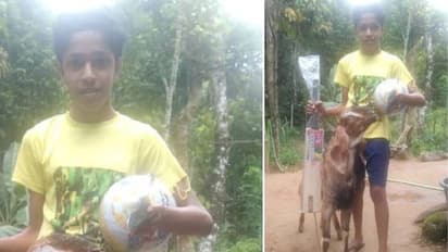 പോകാൻ കൂട്ടാക്കാതെ 'കുഞ്ഞനും' കരഞ്ഞുകലങ്ങി സഞ്ജയും, കച്ചവടമാക്കിയ ആടിനെ ഇരട്ടി വിലക്ക് തിരിച്ചുവാങ്ങി